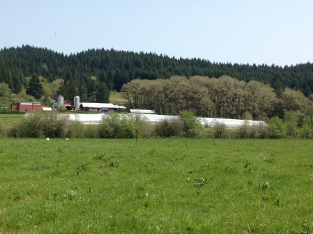 idyllic farm